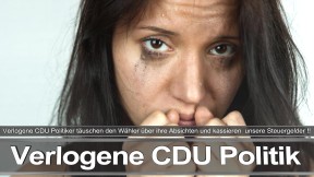 Parteiprogramm CDU SPD FDP Angela Merkel Frauke Petry AfD Wahlprogramm Flugblatt Prospekt Webseite Mitglieder Kandidaten