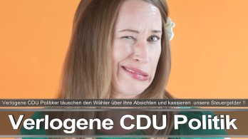 Bundestagswahl_2017_Wahlplakat_Angela_Merkel_CDU_CSU_SPD_AFD_NPD (1)