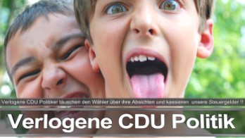 Bundestagswahl_2017_Wahlplakat_Angela_Merkel_CDU_CSU_SPD_AFD_NPD (12)