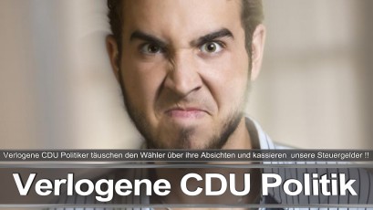 Bundestagswahl_2017_Wahlplakat_Angela_Merkel_CDU_CSU_SPD_AFD_NPD (13)