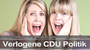 Bundestagswahl_2017_Wahlplakat_Angela_Merkel_CDU_CSU_SPD_AFD_NPD (17)