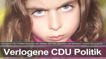 Bundestagswahl_2017_Wahlplakat_Angela_Merkel_CDU_CSU_SPD_AFD_NPD (18)