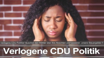 Bundestagswahl_2017_Wahlplakat_Angela_Merkel_CDU_CSU_SPD_AFD_NPD (2)