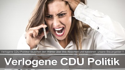 Bundestagswahl_2017_Wahlplakat_Angela_Merkel_CDU_CSU_SPD_AFD_NPD (20)