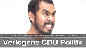 Bundestagswahl_2017_Wahlplakat_Angela_Merkel_CDU_CSU_SPD_AFD_NPD (21)