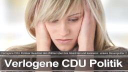 Parteiprogramm CDU SPD FDP Angela Merkel Frauke Petry AfD Wahlprogramm Flugblatt Prospekt Webseite Mitglieder Kandidaten