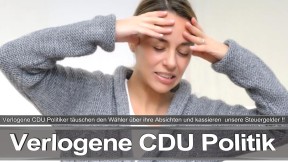 Bundestagswahl_2017_Wahlplakat_Angela_Merkel_CDU_CSU_SPD_AFD_NPD (3)
