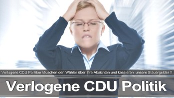 Bundestagswahl_2017_Wahlplakat_Angela_Merkel_CDU_CSU_SPD_AFD_NPD (4)
