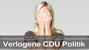 Bundestagswahl_2017_Wahlplakat_Angela_Merkel_CDU_CSU_SPD_AFD_NPD (5)