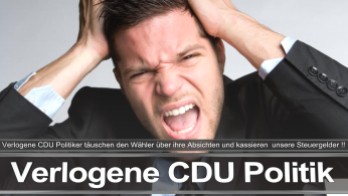 Bundestagswahl_2017_Wahlplakat_Angela_Merkel_CDU_CSU_SPD_AFD_NPD (6)