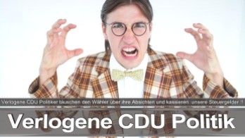 Bundestagswahl_2017_Wahlplakat_Angela_Merkel_CDU_CSU_SPD_AFD_NPD (7)