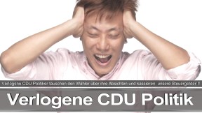 Bundestagswahl_2017_Wahlplakat_Angela_Merkel_CDU_CSU_SPD_AFD_NPD (8)
