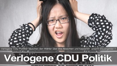 Bundestagswahl_2017_Wahlplakat_Angela_Merkel_CDU_CSU_SPD_AFD_NPD (9)