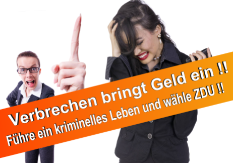 Wahlplakate CDU 2017 SPD FDP NPD AFD Piratenpartei Linke Bündnis 90 die Grünen