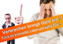 Wahlplakate CDU 2017 SPD FDP NPD AFD Piratenpartei Linke Bündnis 90 die Grünen